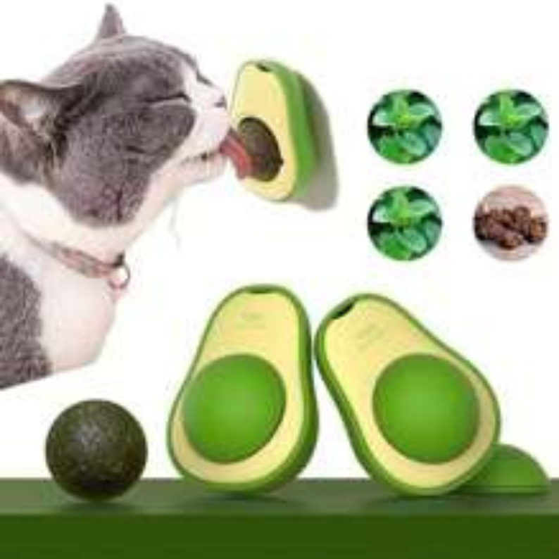 AvoCat